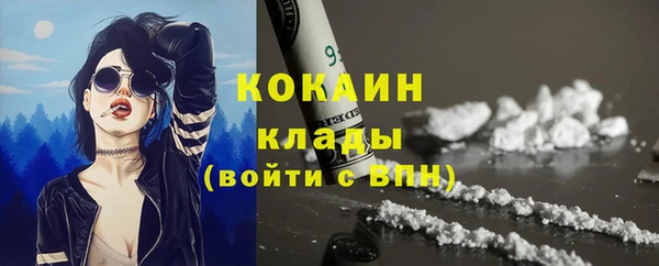 крисы Аркадак