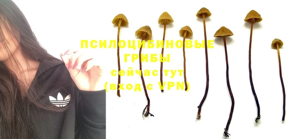 ПСИЛОЦИБИНОВЫЕ ГРИБЫ Армянск