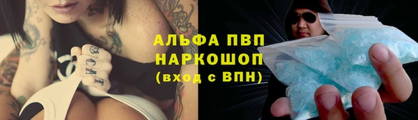 винт Арсеньев