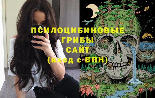 крисы Аркадак