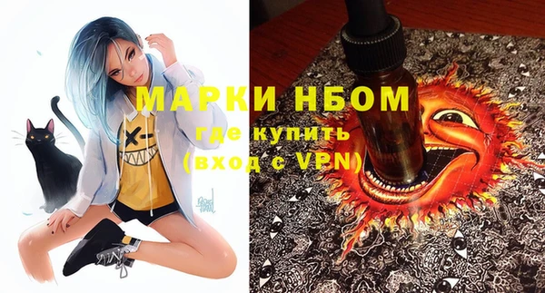 крисы Аркадак