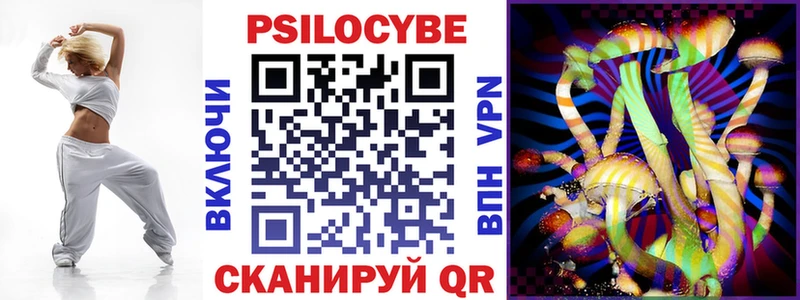 Псилоцибиновые грибы Cubensis  Купить где  Нелидово 